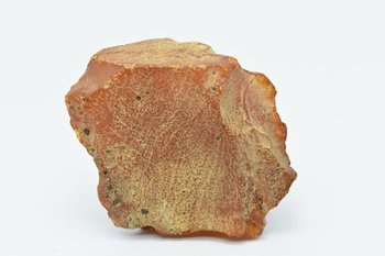 bursztyn bałtycki kolekcjonerski naturalny 101 g