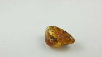 bursztyn bałtycki inkluzje spiczasty polerowany 10,6 g