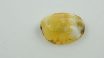 BIAŁO ŻÓŁĆ JUBILERSKI BURSZTYN BAŁTYCKI POLEROWANY