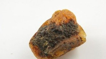 bursztyn naturalny kolekcjonerski biały królewski 136,2 g