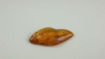 bursztyn bałtycki nieregularna jasny koniak natura