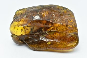 bursztyn bałtycki kolekcjonerski naturalny 168 g