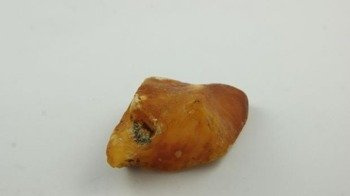 bursztyn bałtycki pomarańczowy biały muzealny 20,4 g