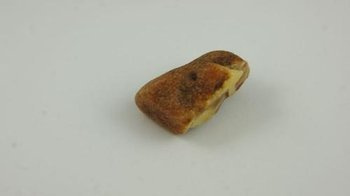 bursztyn bałtycki niepolerowany koniak surowy