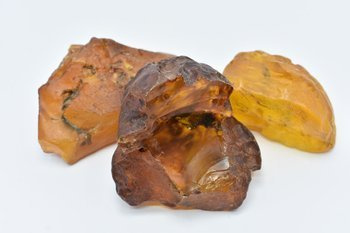 Zestaw trzech bryłek bursztynu bałtyckiego 315 g