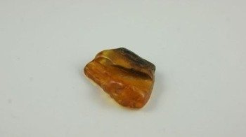 bursztyn bałtycki surowiec naturalny koniak żużel