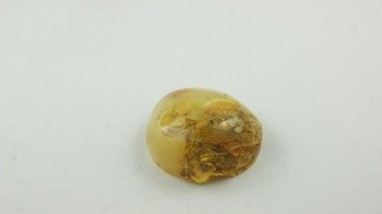 bursztyn bałtycki kaboszon polerowany otwory 18,8 g