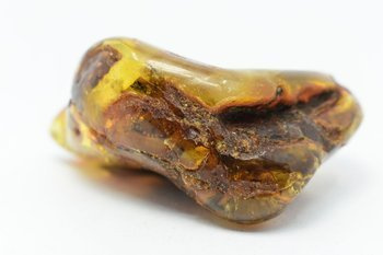 bursztyn bałtycki kolekcjonerski naturalny 59 g