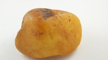 bursztyn bałtycki kolekcjonerski surowy naturalny 229,1 g