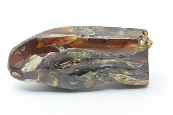 bursztyn sumatański kolekcjonerski naturalny 73 g