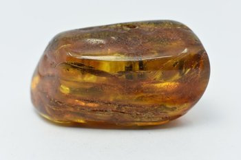 bursztyn bałtycki kolekcjonerski naturalny 70 g