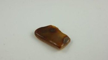 bursztyn bałtycki bryłka surowiec naturalny toffi