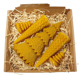 Zestaw Świąteczny Prezentowy 5 Świec z wosku pszczelego "Choinkowy Las"