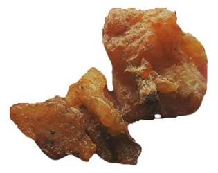 Żywica świerkowa naturalna zbierana ręcznie 50 g