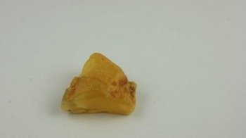 bursztyn bałtycki surowy żółty naturalny