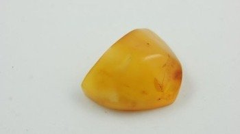 PIĘKNY ZŁOTY KRÓLEWSKI BURSZTYN SZLIFOWANY AHLBECK