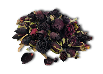 Róża, pąki czerwone