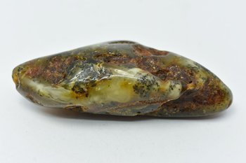 bursztyn bałtycki kolekcjonerski naturalny 56 g