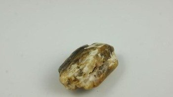 bursztyn bałtycki polerowany półprodukt naturalny