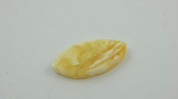 ZŁOTO BIAŁY PLASKI OKO OWAL BURSZTYN POLEROWANY