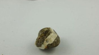 bursztyn bałtycki okrągły pasek wielokolorowy 8,1 g