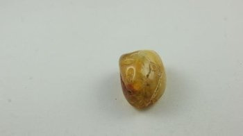 bursztyn bałtycki spękania żółty biały inkluzje 6,8 g