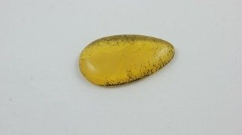 KABOSZON NATURALNY POSIADA INKUZJĘ BIAŁĄ CHMURKĘ