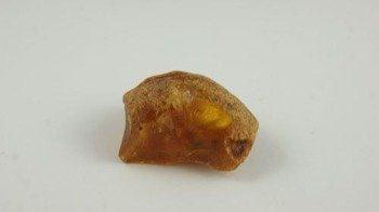 bursztyn bałtycki nieregularna półprodukt natura