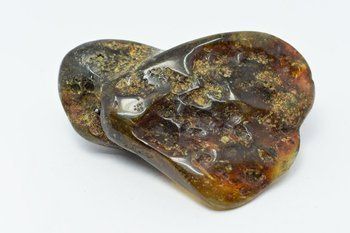 bursztyn bałtycki kolekcjonerski naturalny 88 g