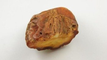 bursztyn bałtycki żółty muzealny inwestycyjny 145,5 g