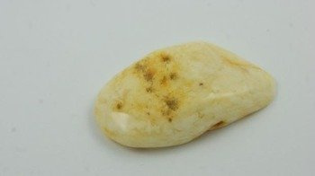 BURSZTYN BAŁTYCKI BIAŁY GOTOWY DO DALSZEJ OBRÓBKI