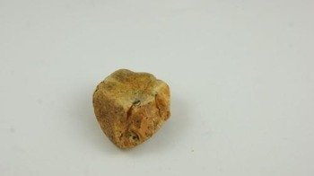 bursztyn bałtycki nieszlifowany koniak surowiec