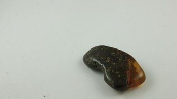 bursztyn bałtycki dwukolorowa podłużny piwny 9,4 g