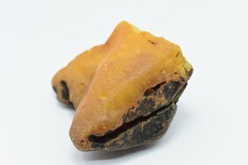 bursztyn bałtycki kolekcjonerski naturalny 130 g