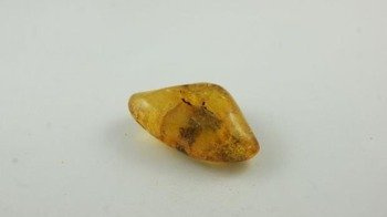 bursztyn bałtycki inkluzje gładki pęknięcia 14,4 g
