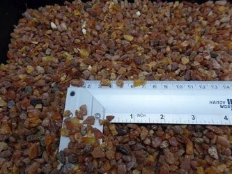 Bursztyn bałtycki produkcyjny 100g 0,5cm - 1,5cm