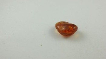 bursztyn bałtycki kształt fasoli otwory pomarańcz 3,9 g