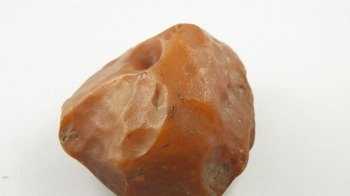 bursztyn naturalny kolekcjonerski biały królewski 241,8 g