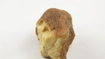 bursztyn bałtycki surowy kolekcjonerski żółty 106,5 g