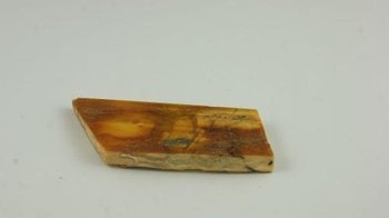 bursztyn bałtycki płaski pomarańczowy antyk cięty