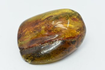 bursztyn bałtycki kolekcjonerski naturalny 32 g