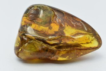 bursztyn bałtycki kolekcjonerski naturalny 57 g