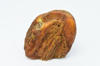 bursztyn bałtycki kolekcjonerski naturalny 145 g