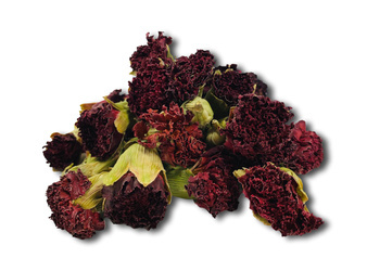 GOŹDZIK SUSZONE KWIATY