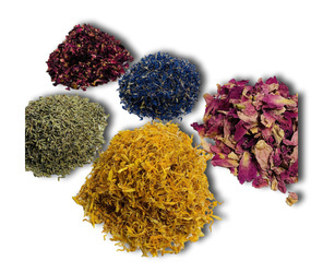 ZESTAW PIĘCIU SUSZONYCH KWIATÓW