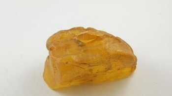 bursztyn bałtycki naturalny kolekcjonerski surowy 88,9 g