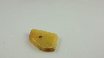 bursztyn bałtycki bryłka miodowy naturalny