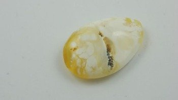 BURSZTYN BAŁTYCKI NATURALN ŚNIEŻNOBIAŁY POLEROWANY