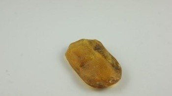 bursztyn bałtycki półprodukt naturalny inkluzje