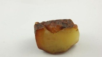 bursztyn bałtycki surowy biały królewski naturalny 62,5 g